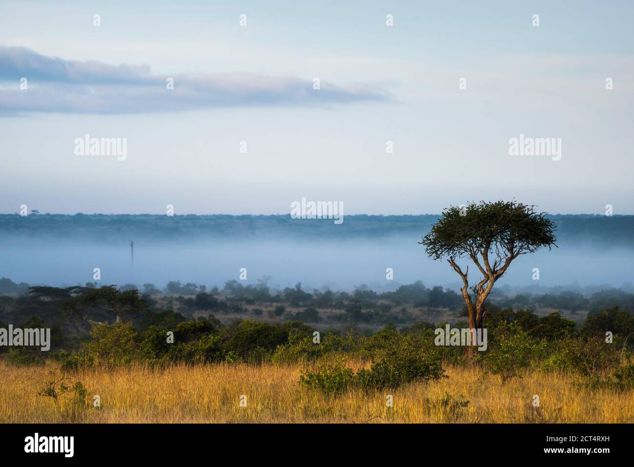 Sosian Ranch, Laikipia County, Kenya Stock Photo