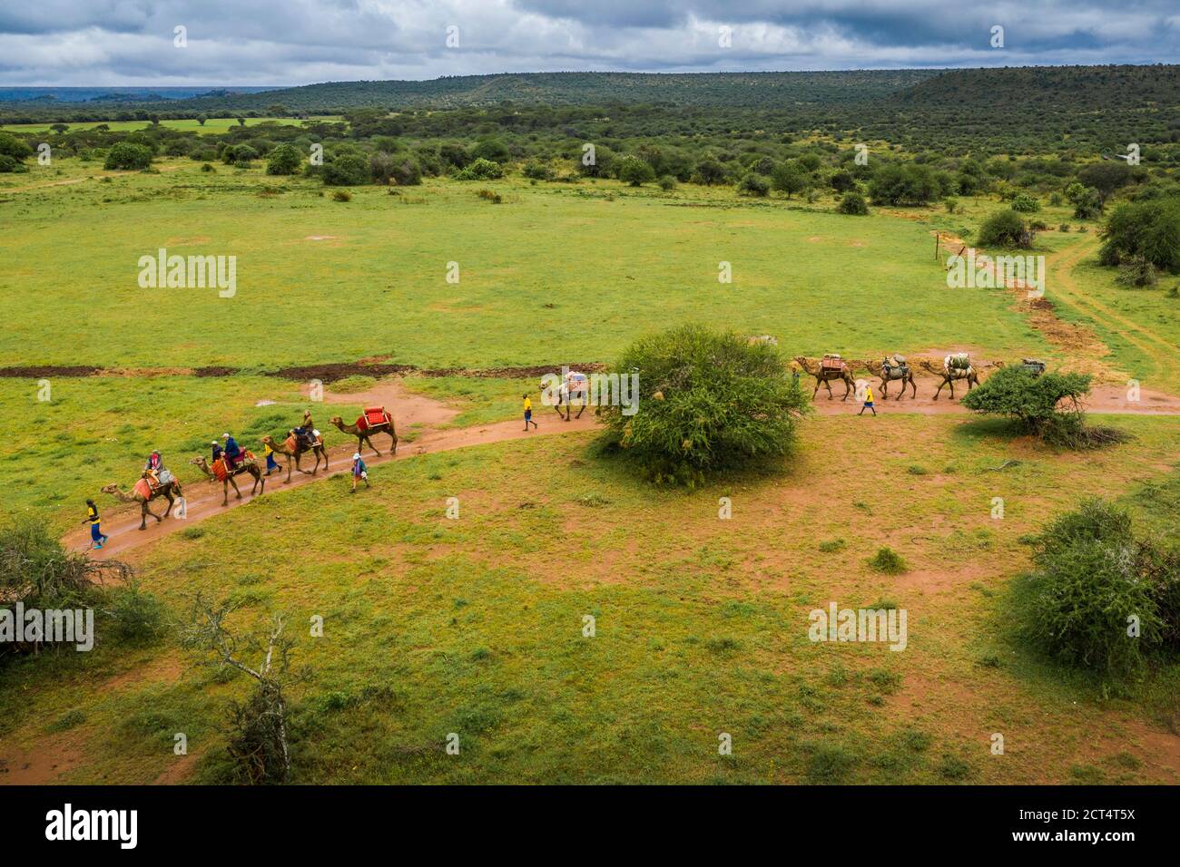 Camel safari at Sosian Ranch, Laikipia County, Kenya Stock Photo