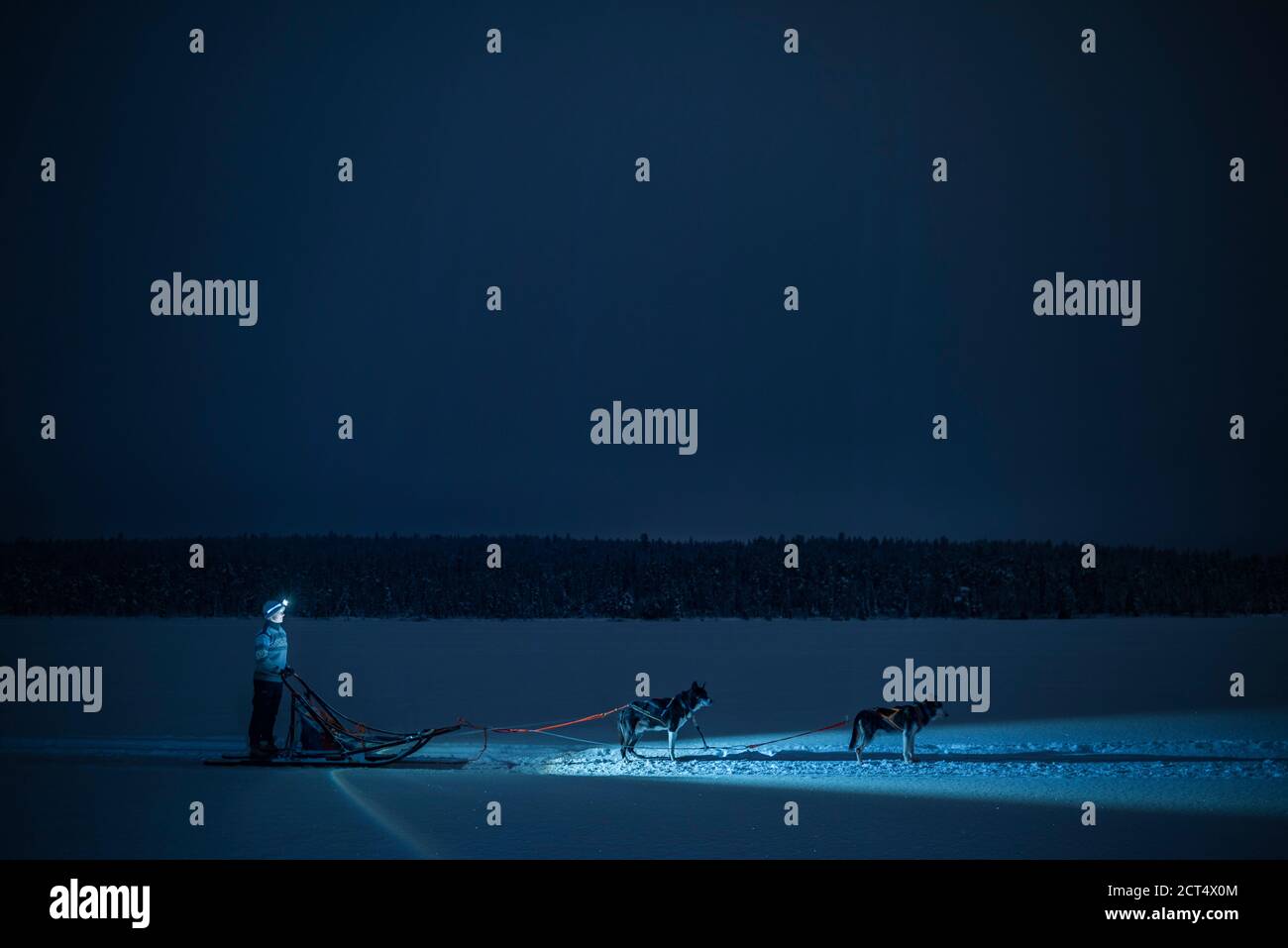 Husky dog sledding at night, Torassieppi, Lapland, Finland Stock Photo