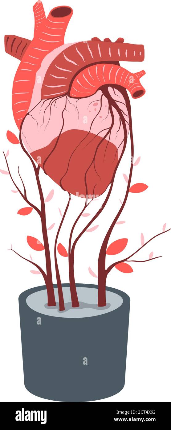 Artificial heart growing in flowerpot transplant or donor concept