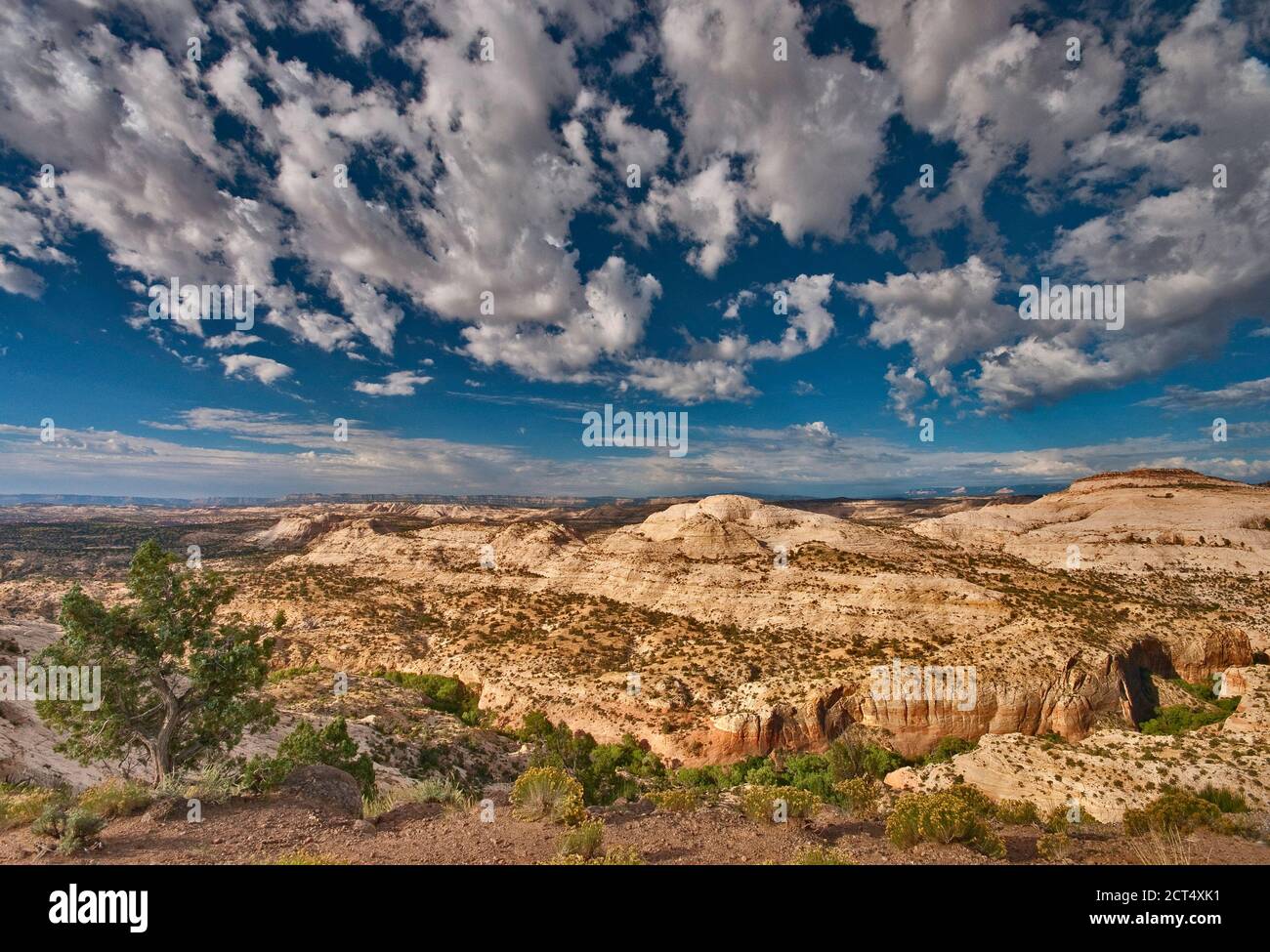 Calf Creek area, view from road following The Hogback at Grand Staircase Escalante National Monument, Colorado Plateau, Utah, USA Stock Photo