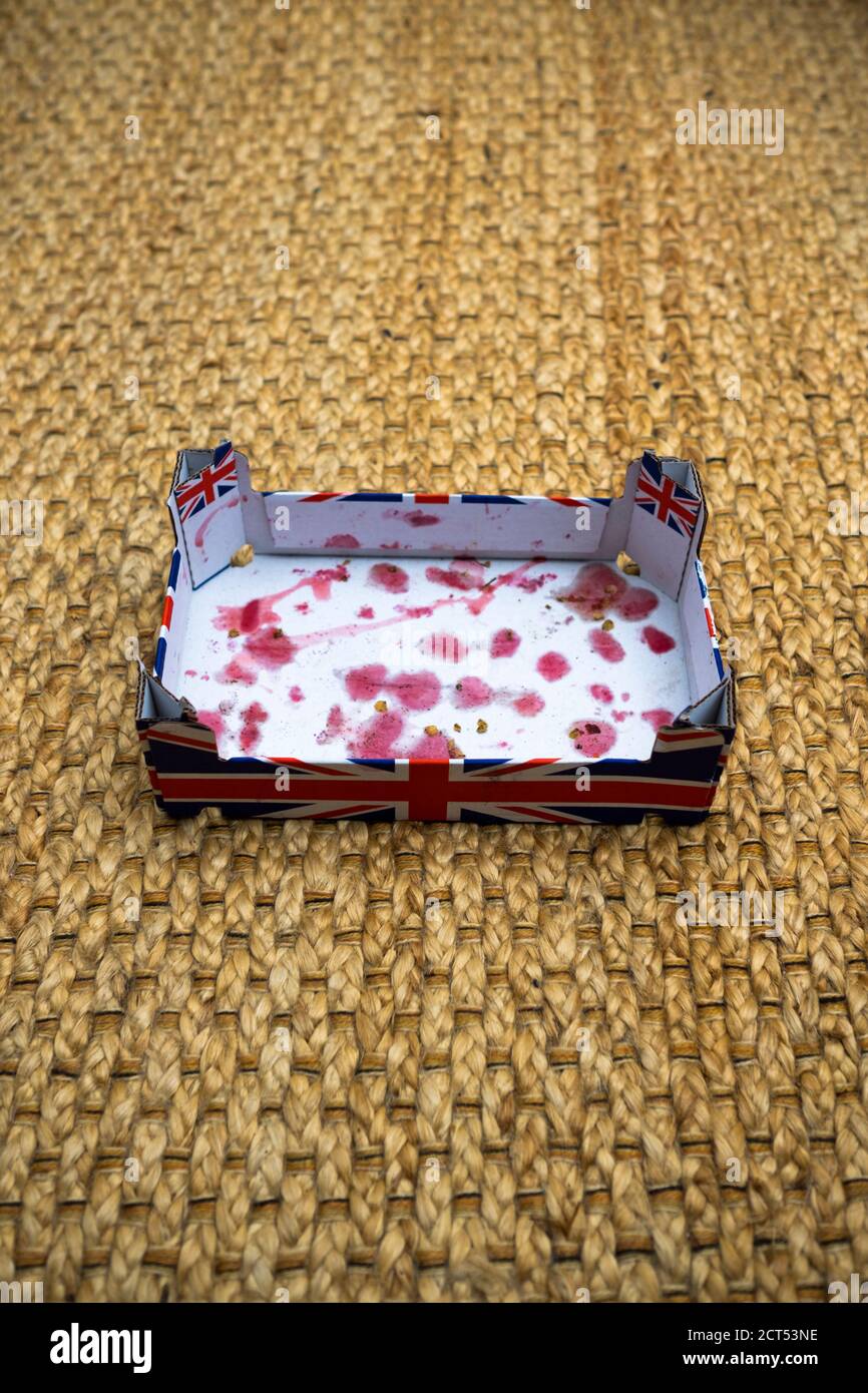 an empty cardboard box covered with printed union jacks and juice stains from finished strawberries rests on a hessian floor in a home Stock Photo