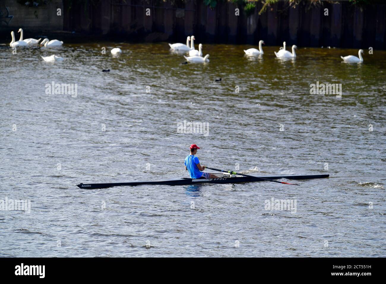 Oaring High Resolution Stock Photography And Images Alamy
