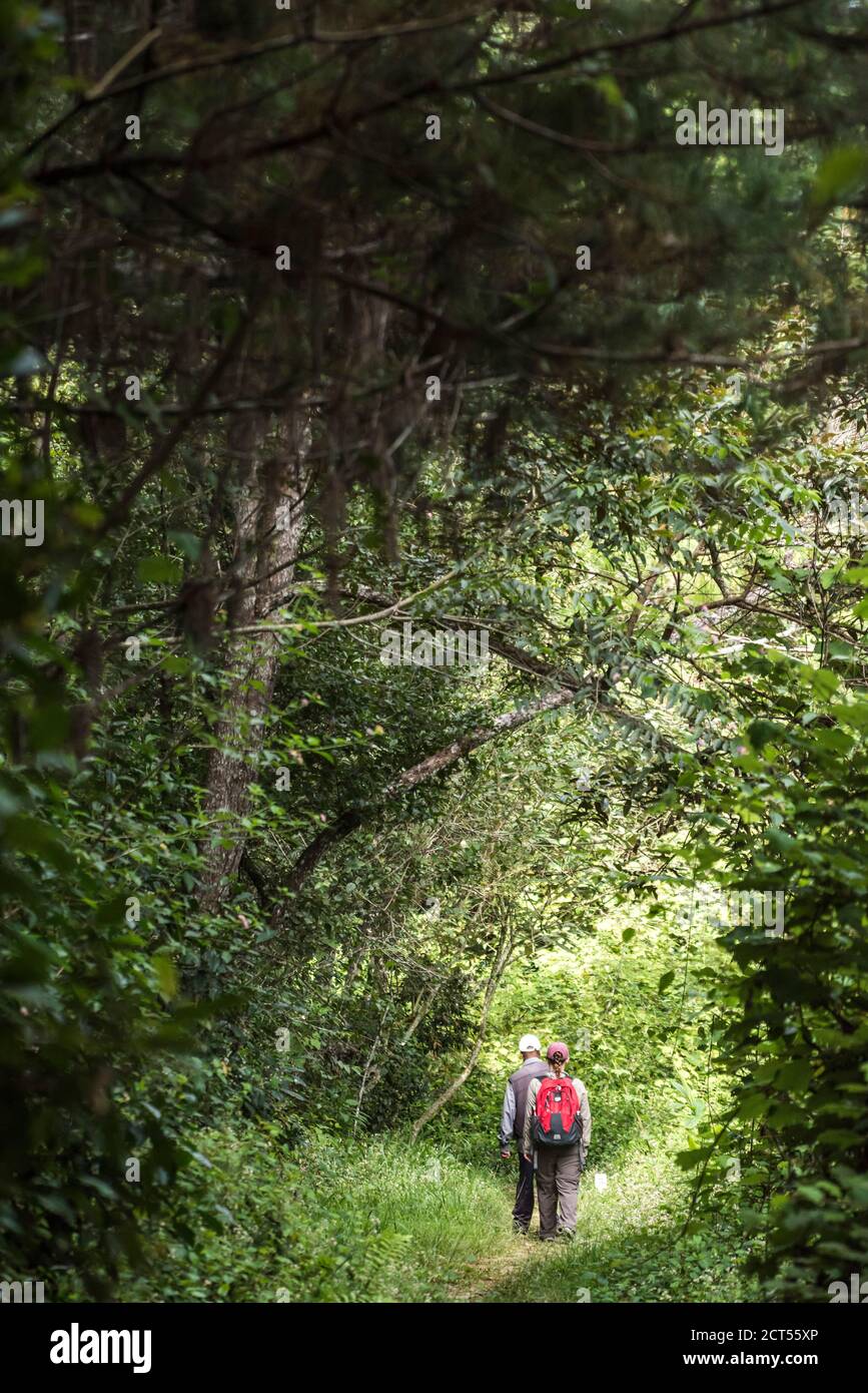 Tourists exploring Perinet Reserve, Andasibe-Mantadia National Park, Eastern Madagascar Stock Photo