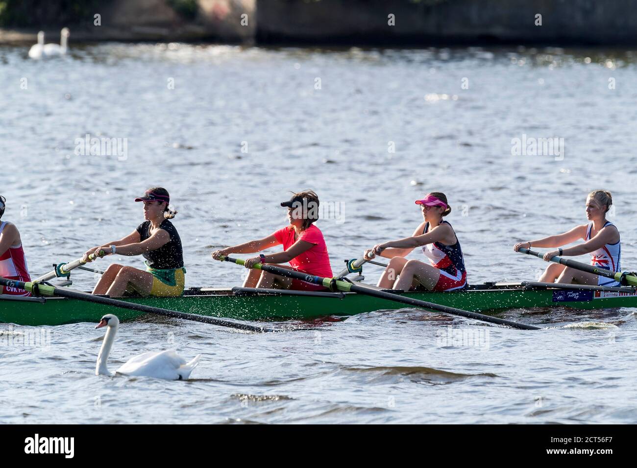 four members of the Eights rowboat rowing and parting the swan Stock Photo