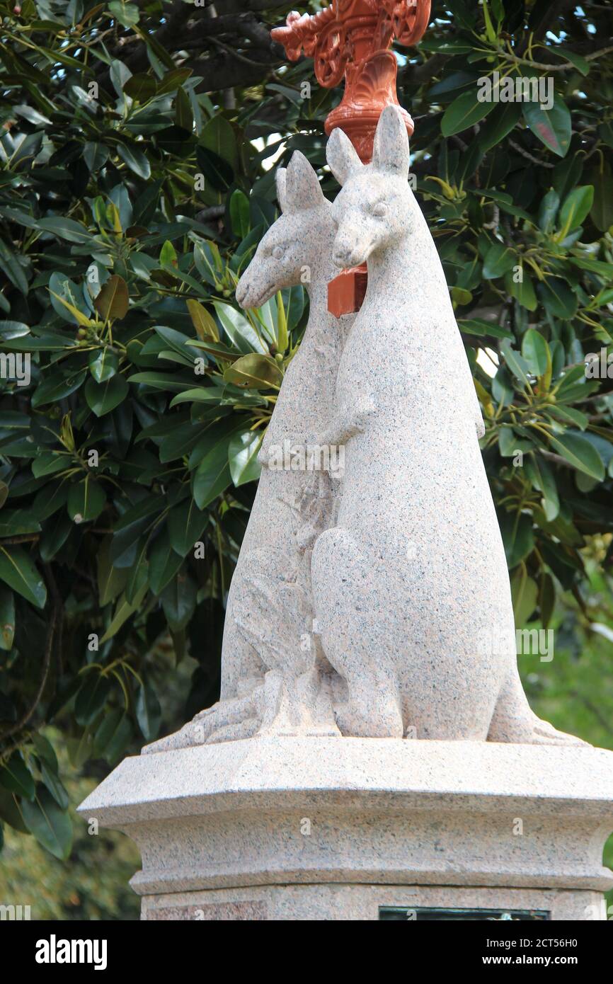 Kangaroo statue australia hires stock photography and images Alamy