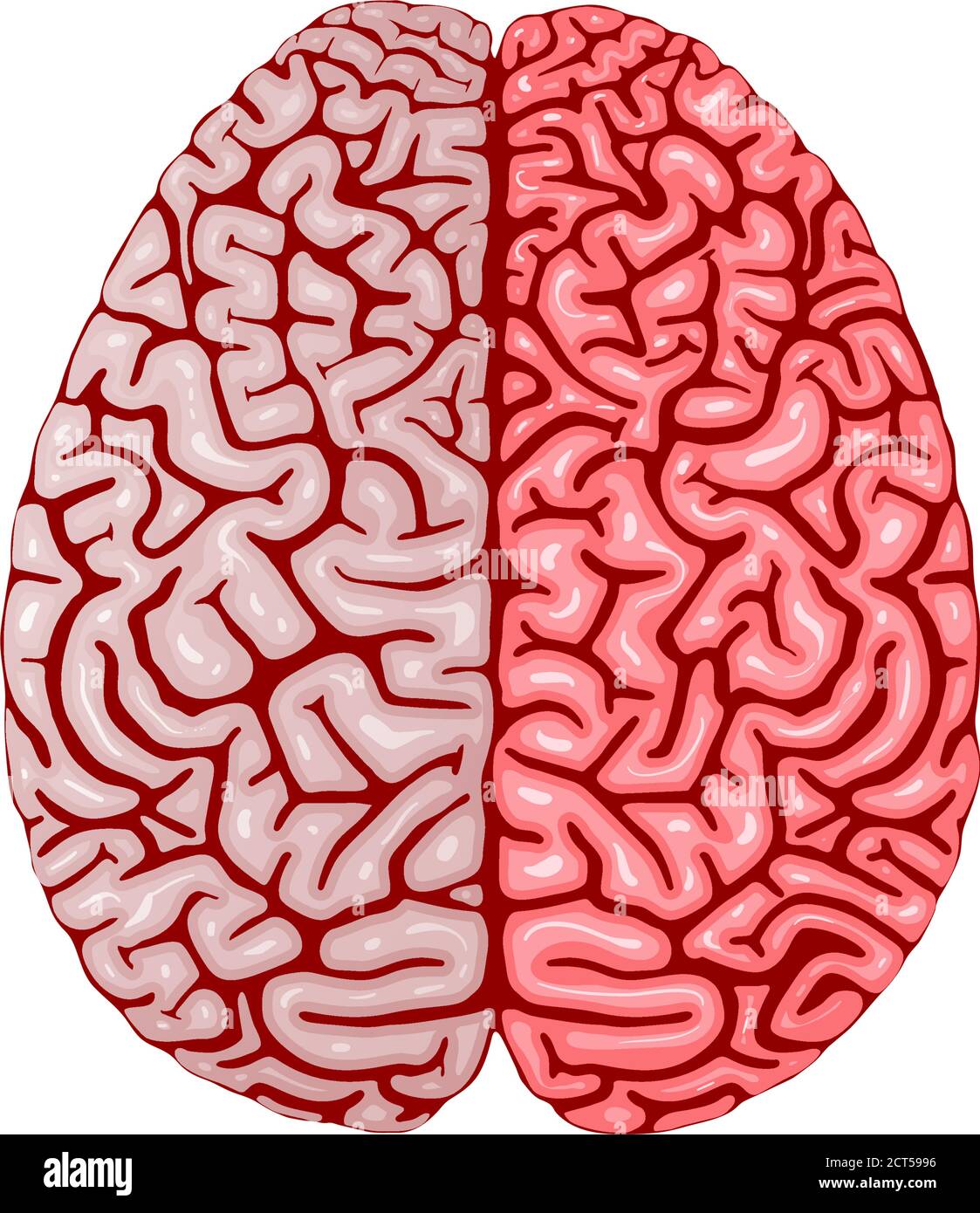 Real human head and brain Stock Vector Images - Alamy