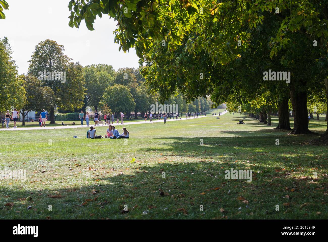 People out and about on a sunny summer day walking and relaxing in Windsor Great Park, Berkshire, England, UK Stock Photo