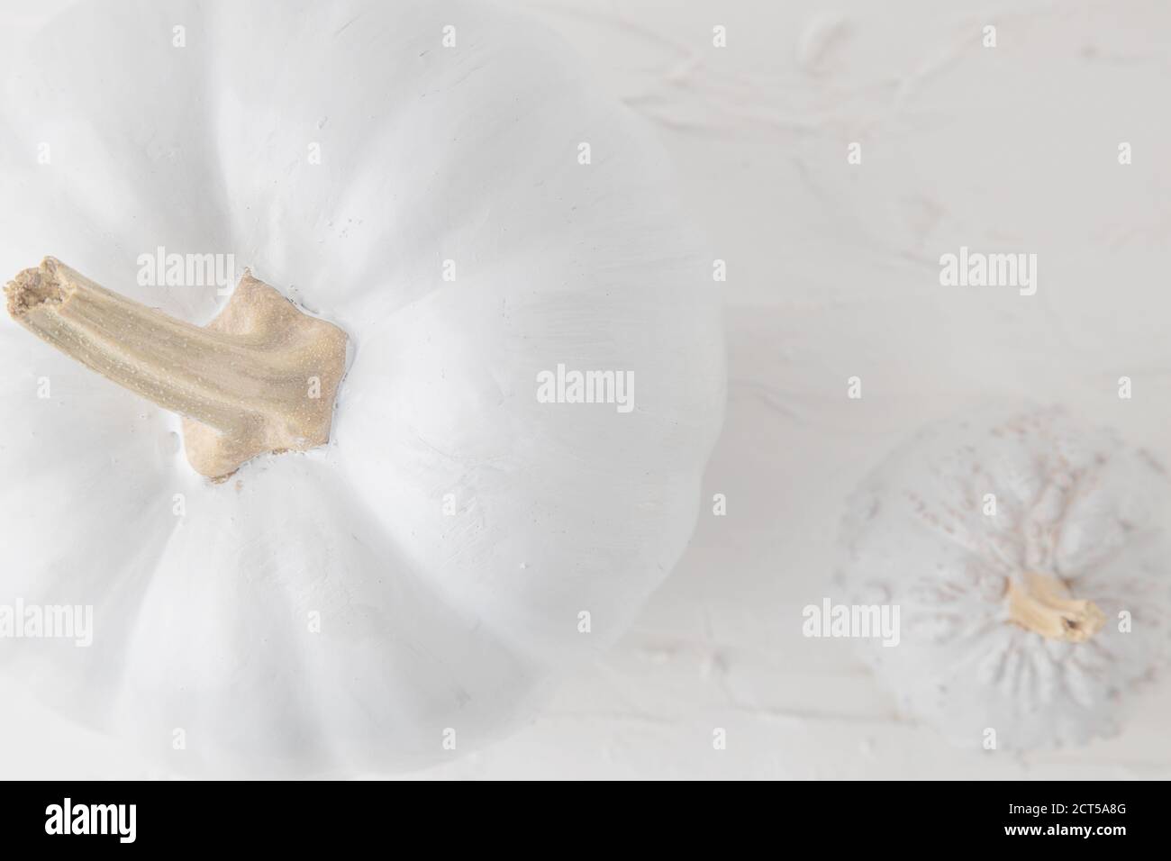 High angle shot of two white pumpkins on a white surface Stock Photo ...