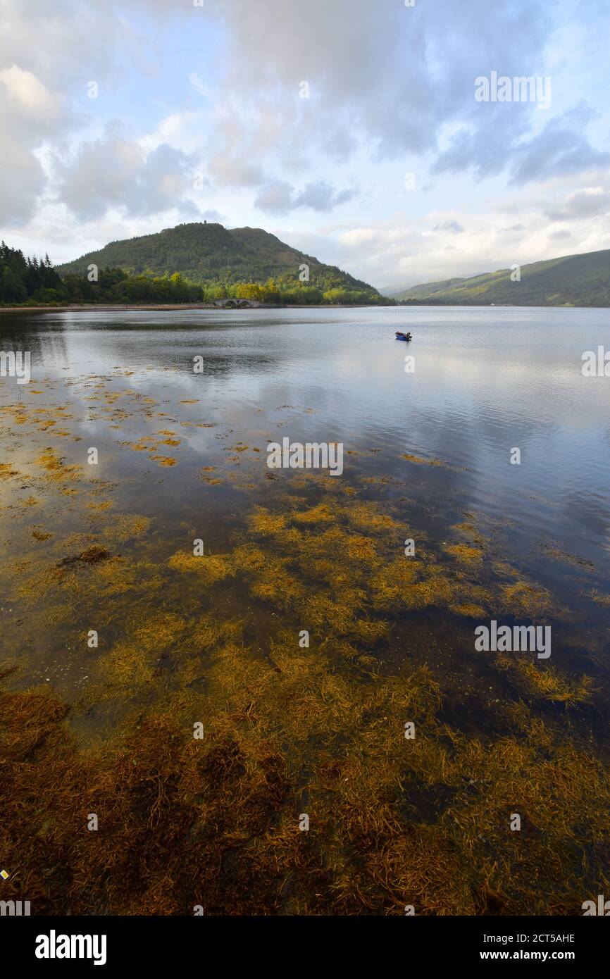 Loch Fyne, Inveraray, Argyll & Bute, Scotland Stock Photo