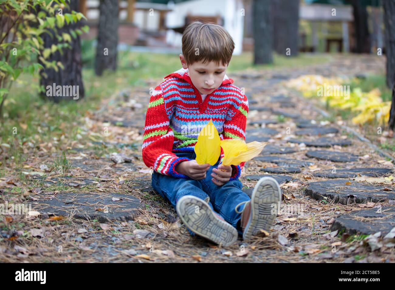 Beautiful boy sits with yellow leaves. Child on an autumn walk. Stock Photo