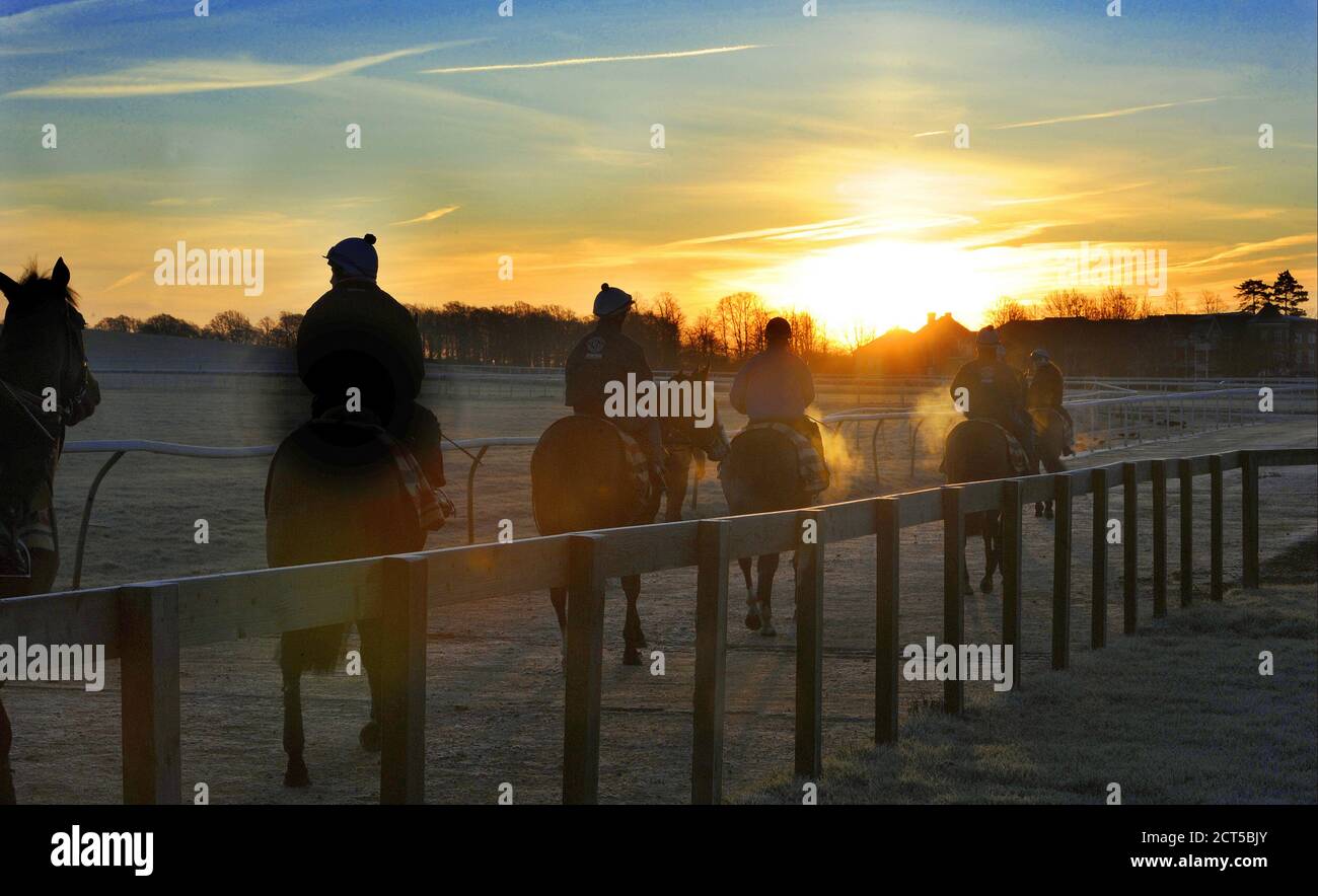 RACEHOSRES ON THE NEWMARKET GALLOPS AT DAWN. PICTURE CREDIT : © MARK PAIN / ALAMY STOCK PHOTO Stock Photo