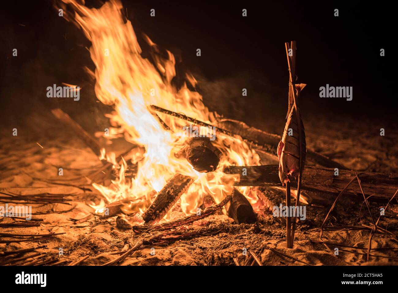 Cooking fish on a fire on the beach at night, Dawei Peninsula, Tanintharyi Region, Myanmar (Burma) Stock Photo