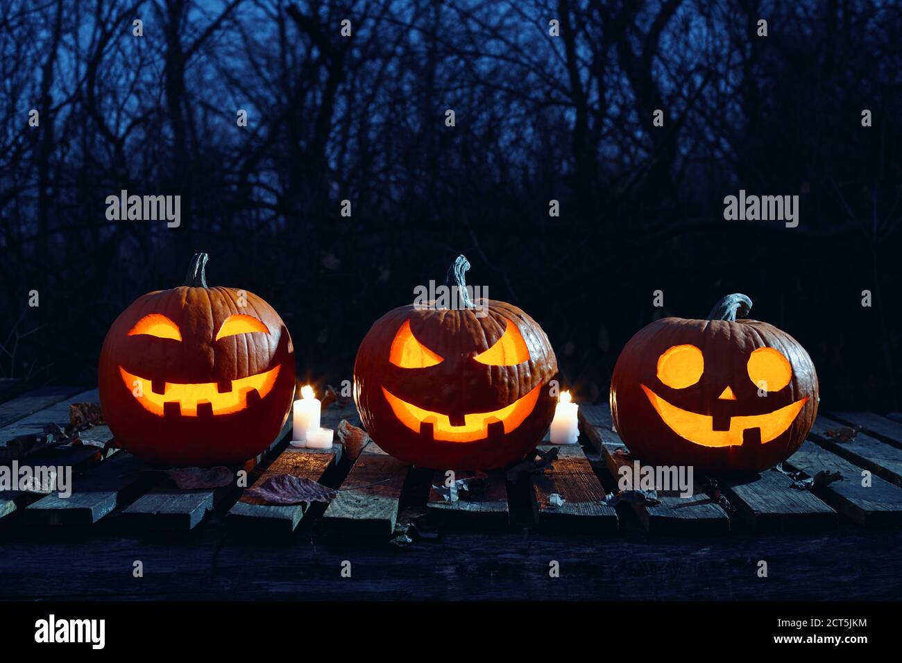 Halloween pumpkins burning in forest at night, holiday concept Stock ...