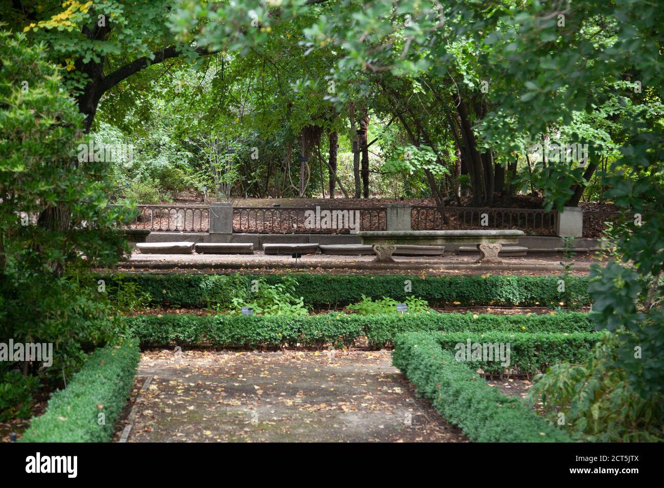 royal botanical garden, Madrid Stock Photo Alamy