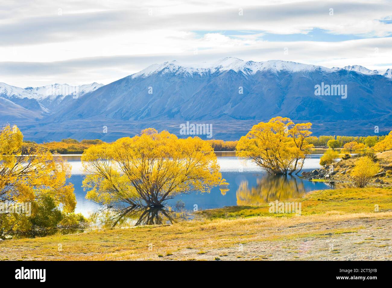 Snow Capped Mountains and Autumn Trees at Lake Alexandrina, South Island, New Zealand Stock Photo