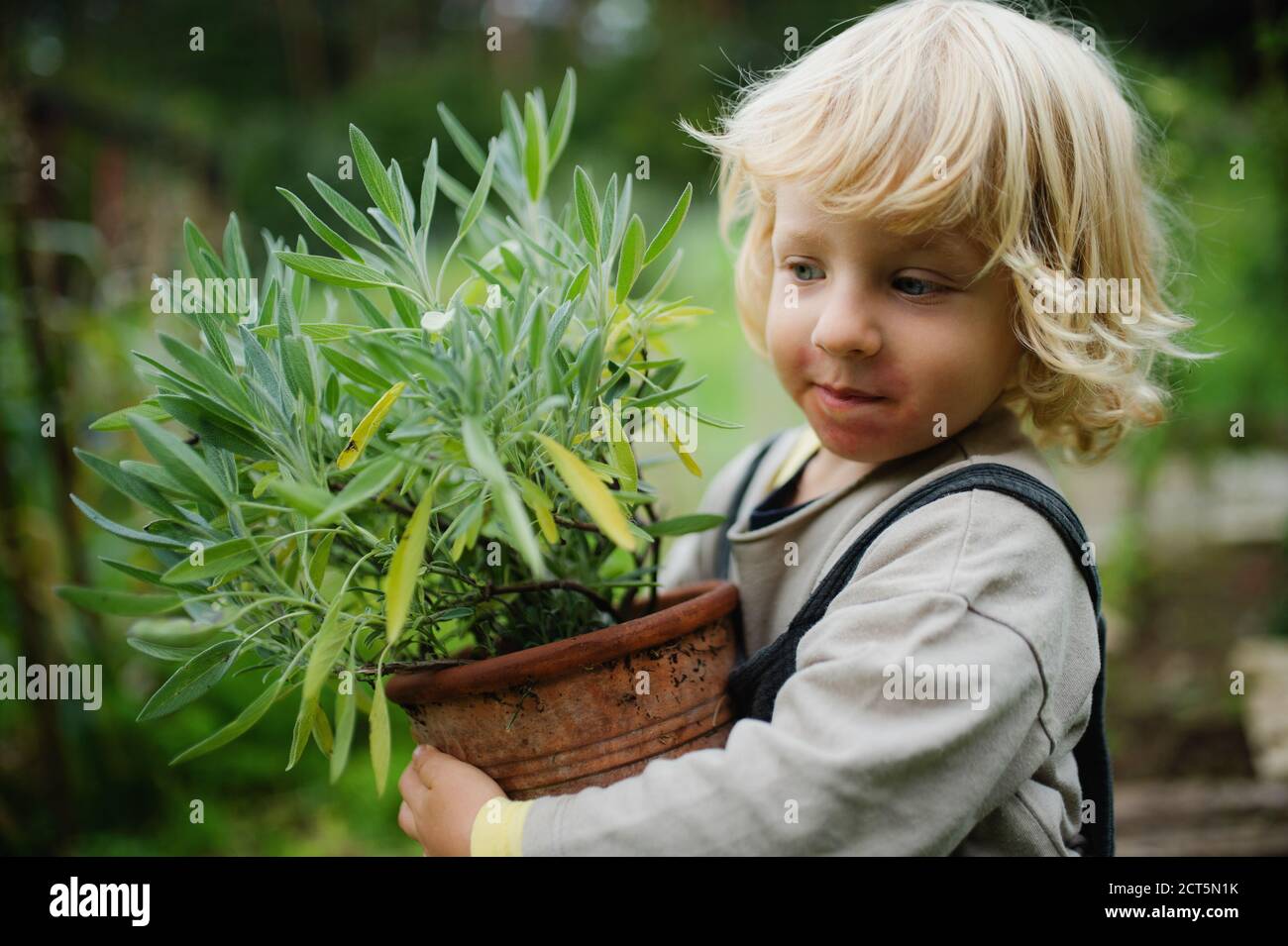 Portrait of small boy with eczema standing outdoors, holding potted plant. Stock Photo