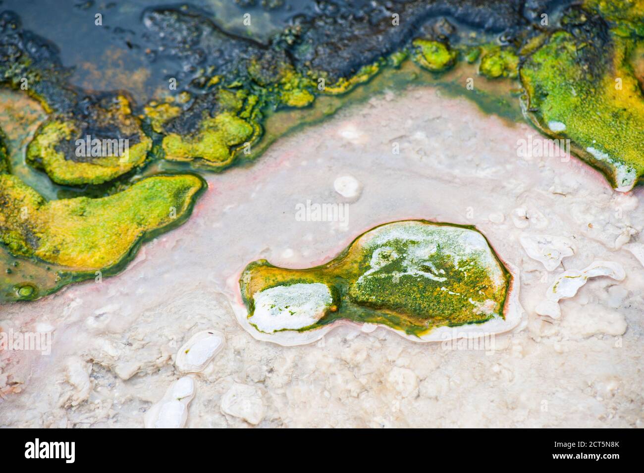 Close Up Photo of Colourful Geothermal Activity at Orakei Korako Thermal Park, The Hidden Valley, North Island, New Zealand Stock Photo