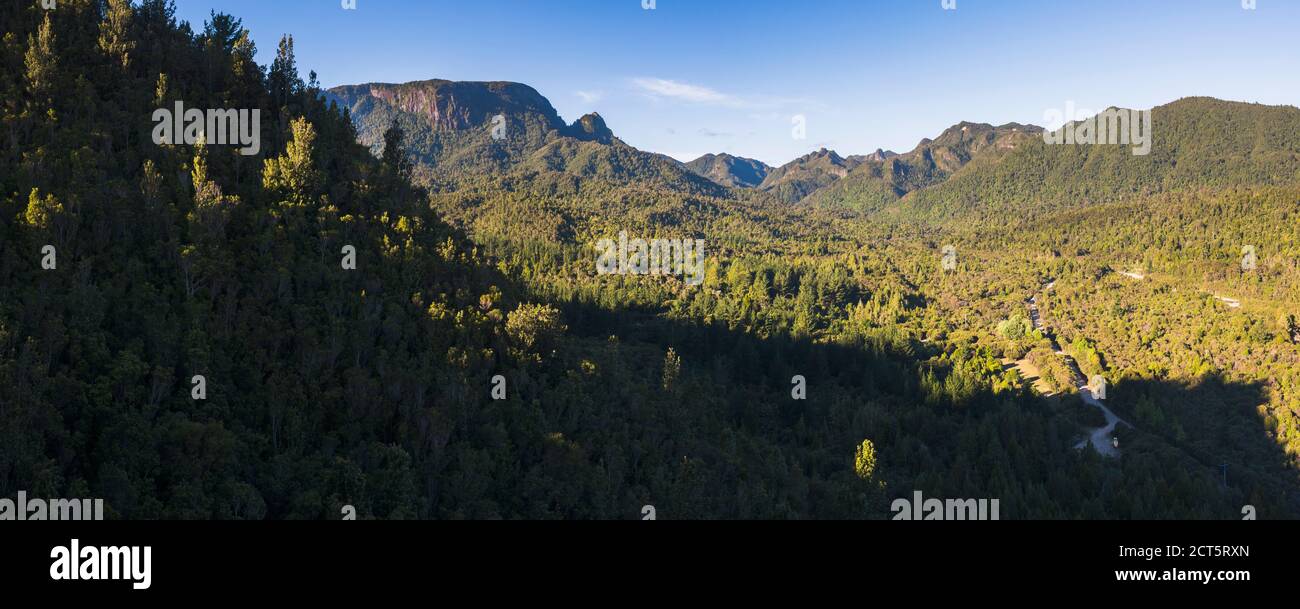 Kauaeranga Valley, Coromandel Forest Park, Coromandel Peninsula, New