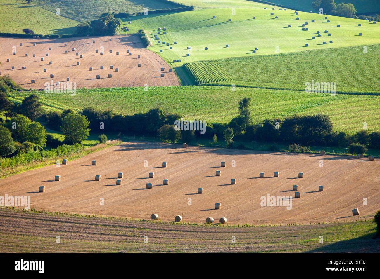 french countryside near Calais in parc regional de caps et marais in