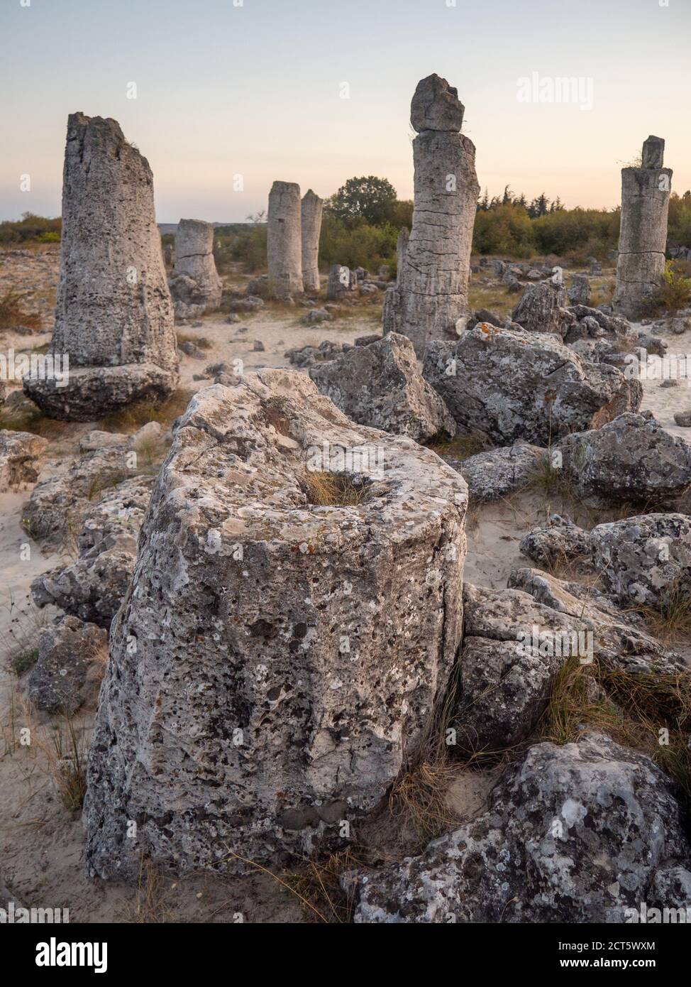 pobiti kamani also known as the stone desert, near varna, bulgaria Stock Photo