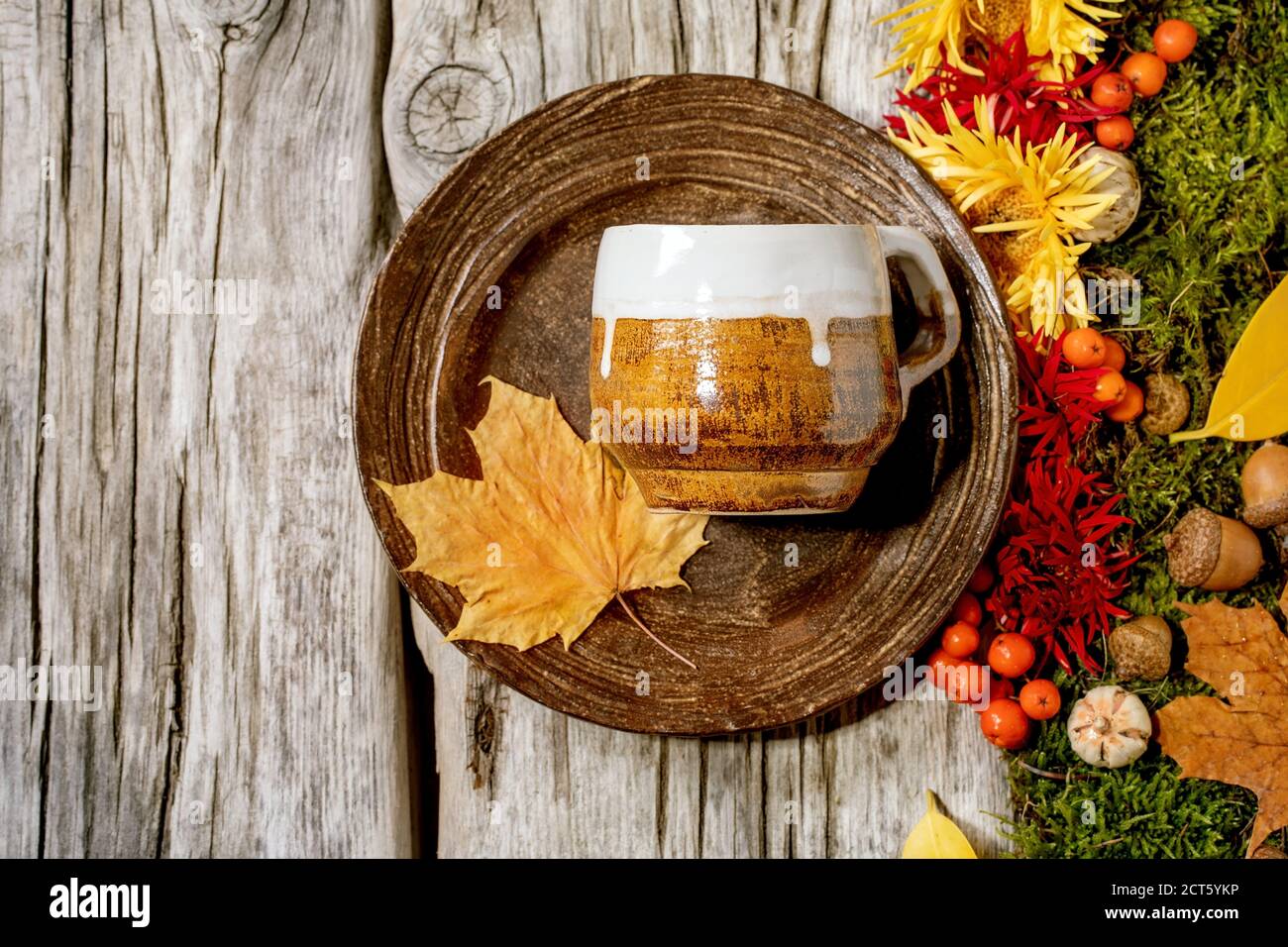 Autumn tablesetting with moss and leaves Stock Photo