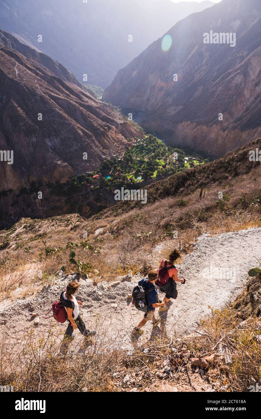 Trekking towards Sangalle Oasis, Colca Canyon, Peru, South America Stock Photo