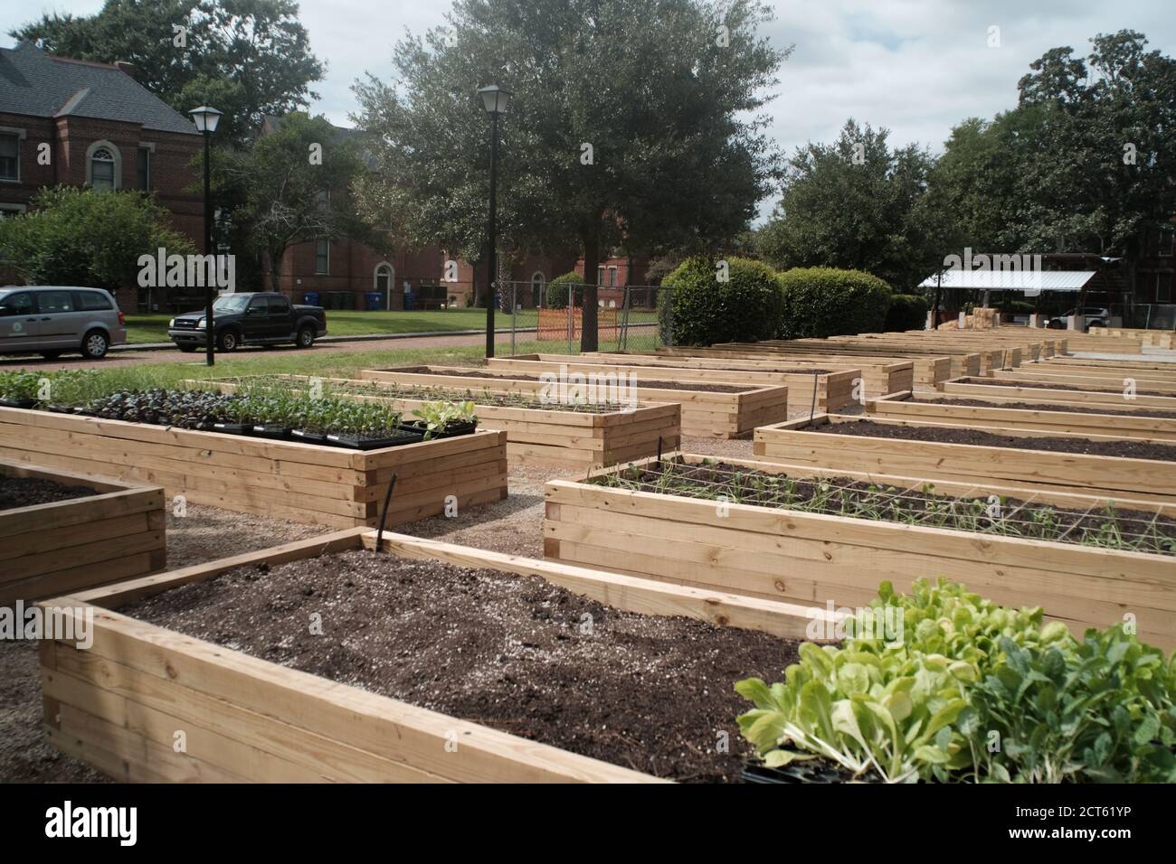 Constructing New Urban Garden on Site of 1850s English Village Built by 19th Century Furniture Maker, William Enston, Who Lived in Charleston, SC. Stock Photo