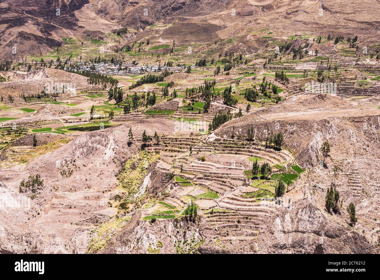 Colca Canyon farmland and terraces, Peru, South America Stock Photo - Alamy