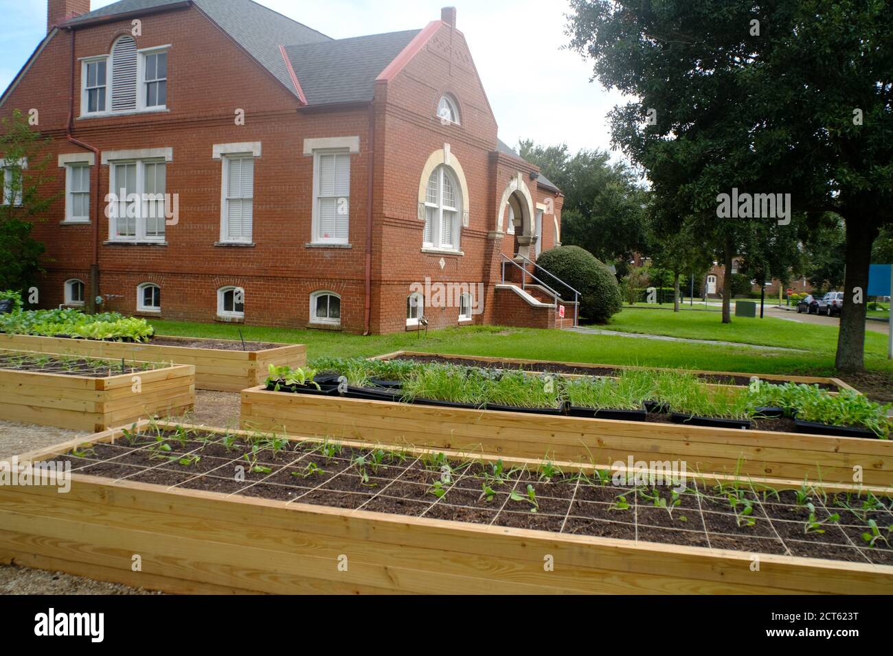 Constructing New Urban Garden on Site of 1850s English Village Built by 19th Century Furniture Maker, William Enston, Who Lived in Charleston, SC. Stock Photo
