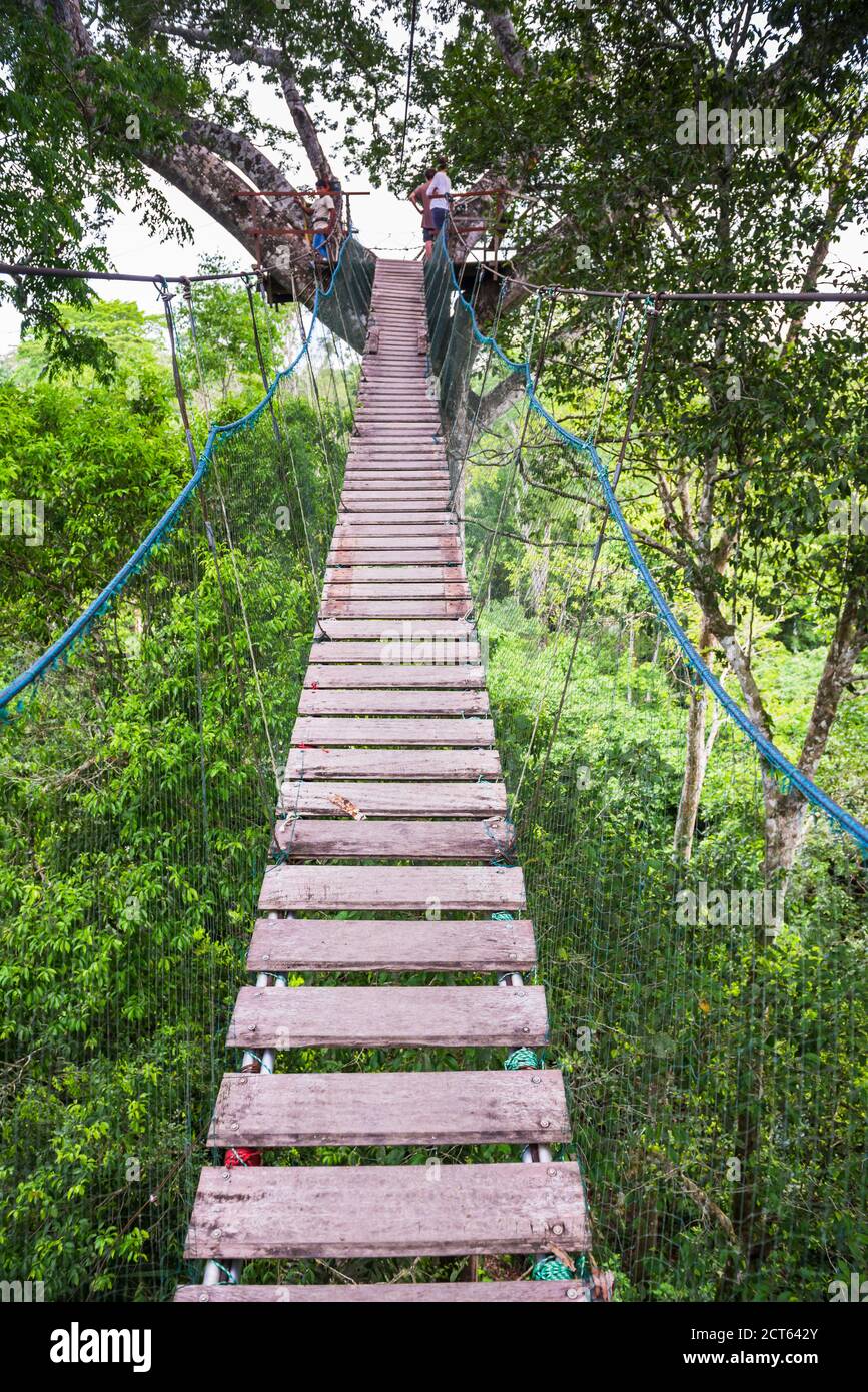 Swinging bridges walk hires stock photography and images Alamy