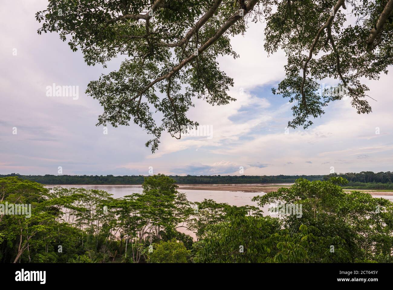 Madre de Dios River, Tambopata National Reserve, Puerto Maldonado Amazon Jungle area of Peru, South America Stock Photo
