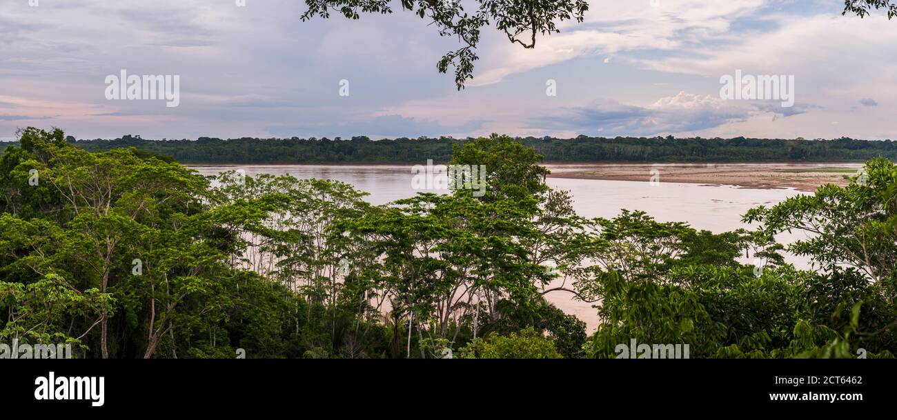 Madre de Dios River, Tambopata National Reserve, Puerto Maldonado Amazon Jungle area of Peru, South America Stock Photo