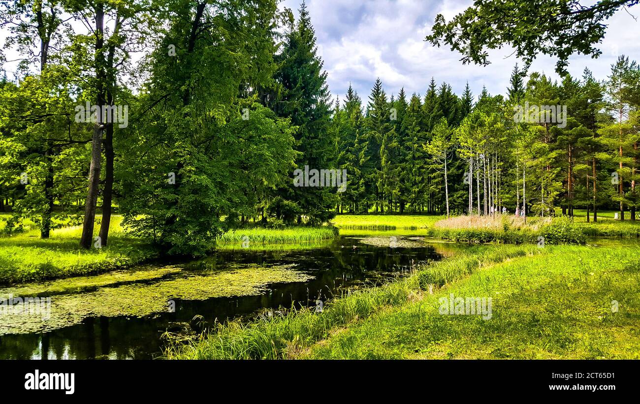 Summer landscape river hi-res stock photography and images - Alamy