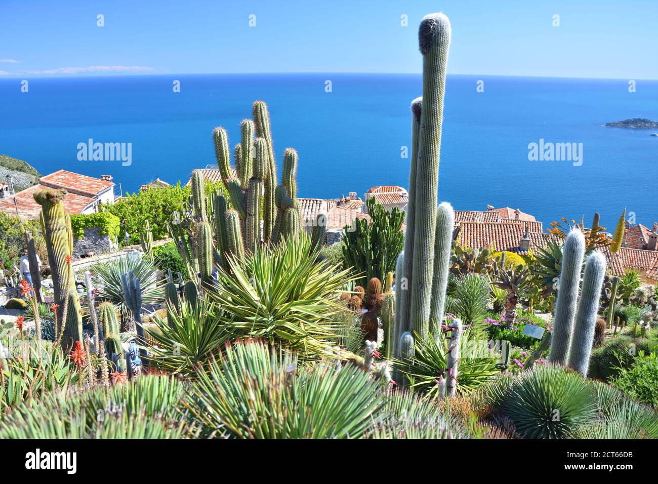 Cactus and succulent exotic garden with amazing Mediterranean Sea view in Eze, France. Stock Photo