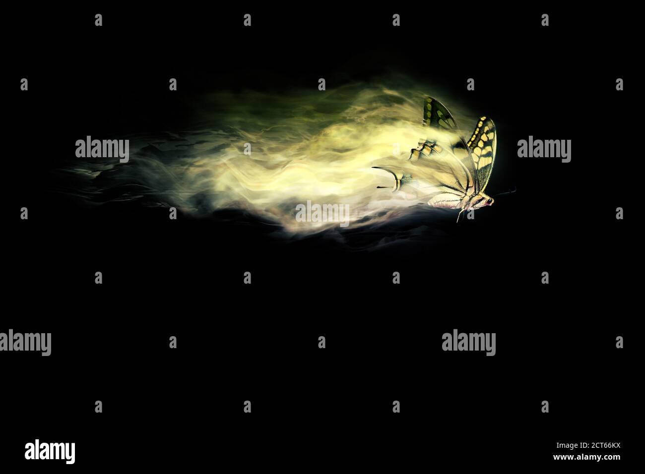 Abstract nature. Flying bird. Dispersion effect. Black background. Stock Photo