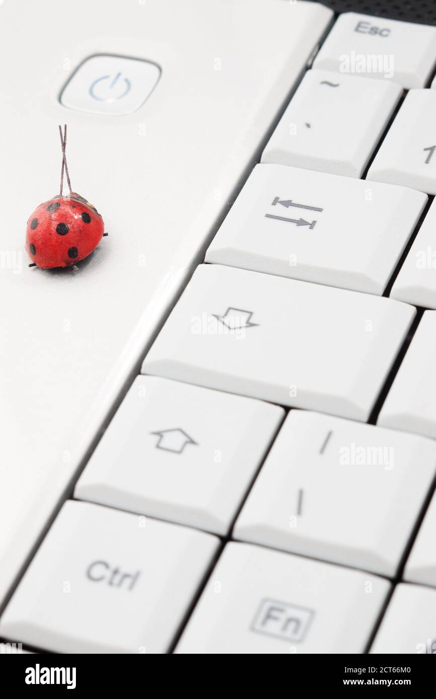 Red ladybird on white notebook with power button and selective focus Stock Photo