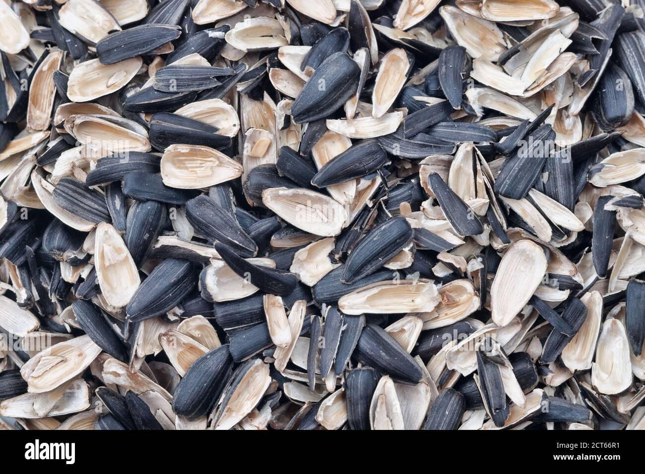 Lots of empty sunflower seed shells with selective focus Stock Photo