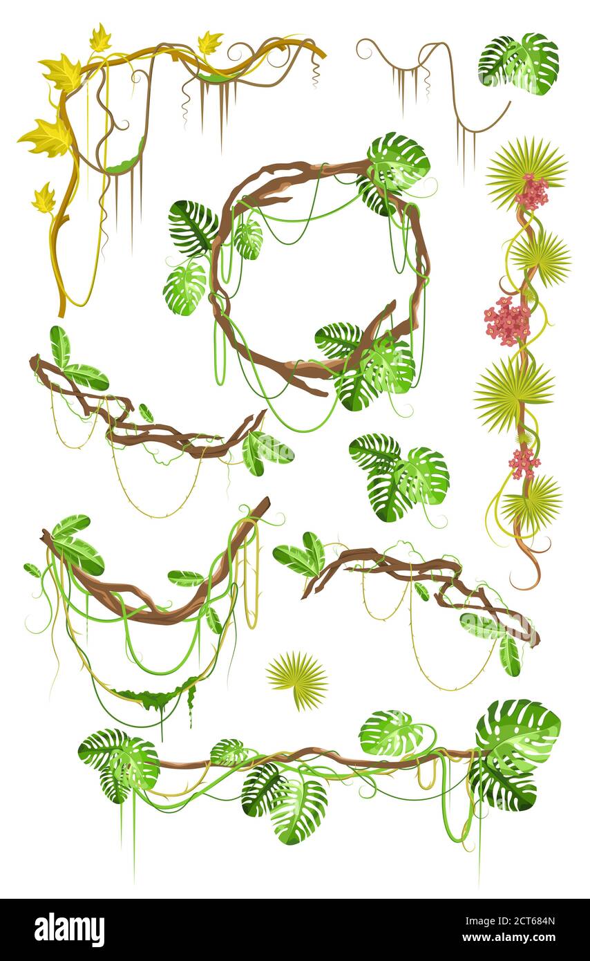Tropical liana creeper plant decorative elements set, flat vector