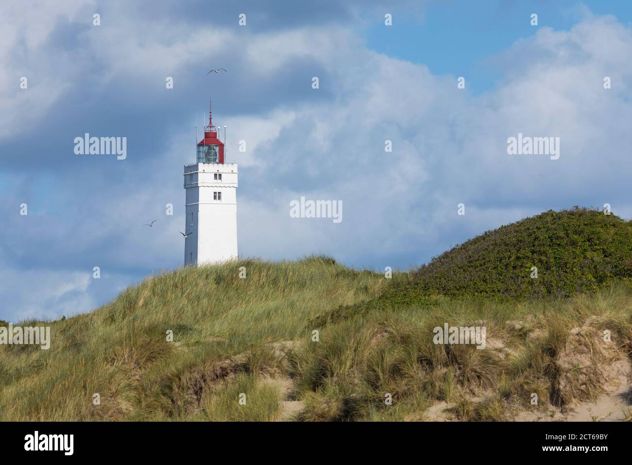 Blåvand Fyr, the lighthouse at Blavand, Denmark, dune in foreground ...