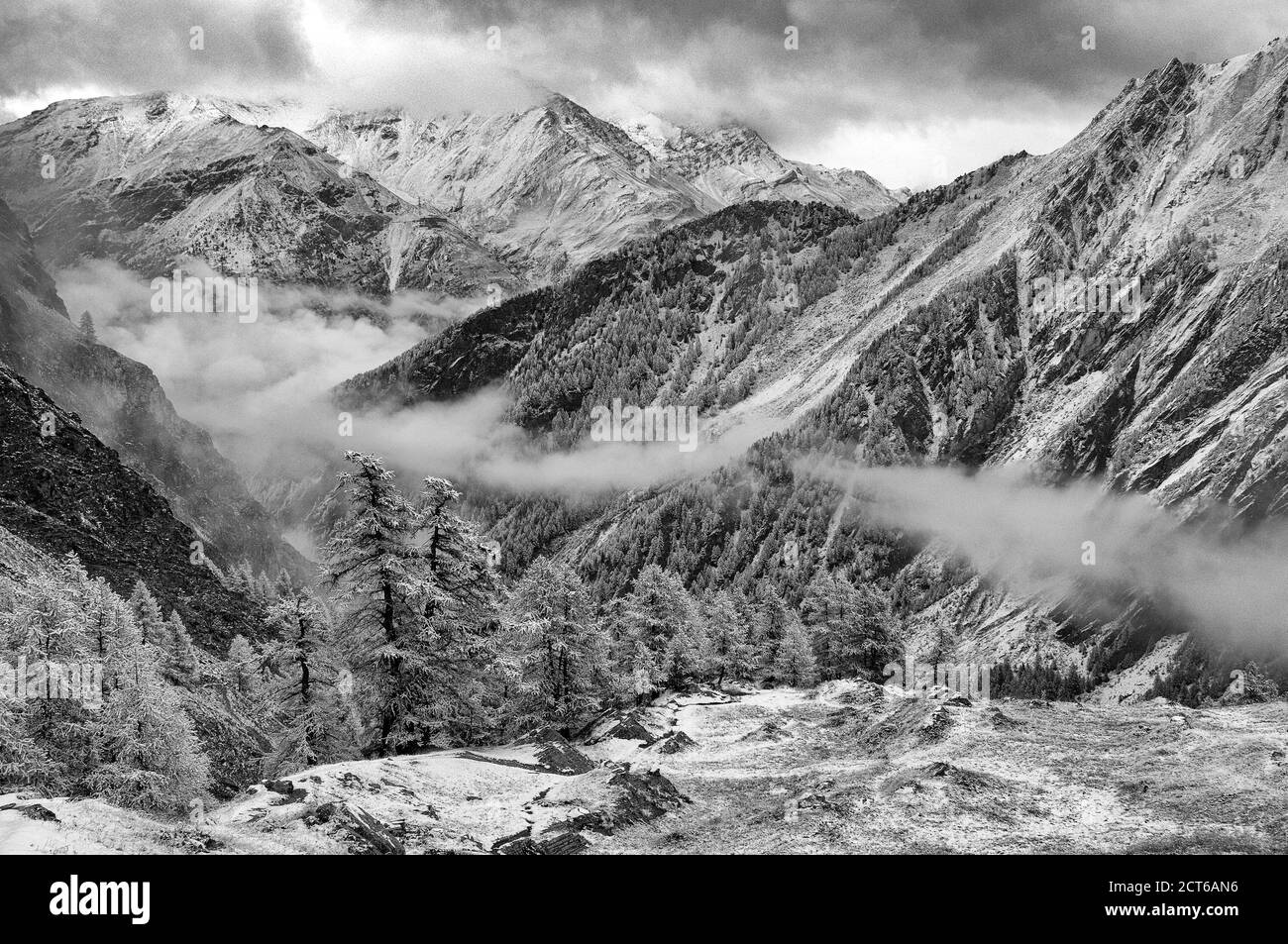 Italy,Alps, Val d´ Aosta,  National Park Gran Paradiso in winter *** Local Caption ***  landscape,alps,winter,mountain,fog,snow,mist,cold,ambience,atm Stock Photo
