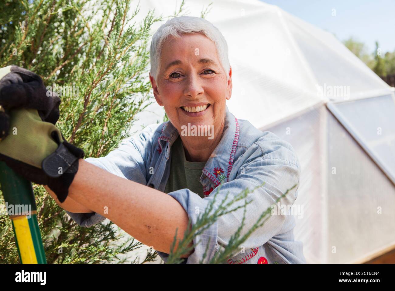 Smiling senior woman gardening in a geodesic dome, climate controlled glass house Stock Photo