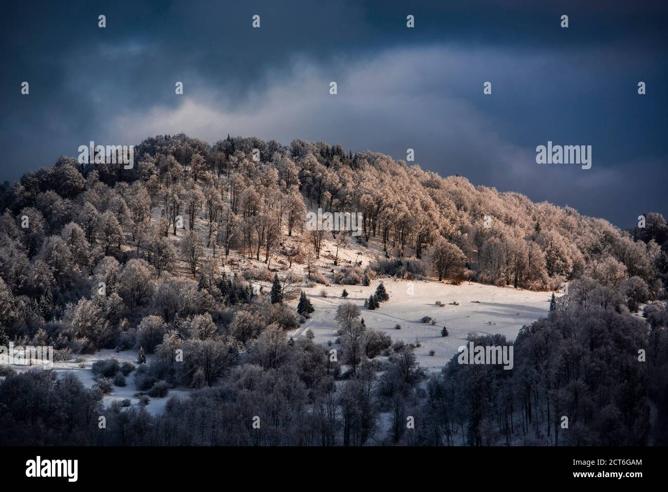 Winter landscapes of Carpathian Mountains near Brasov, Brasov County, Romania Stock Photo