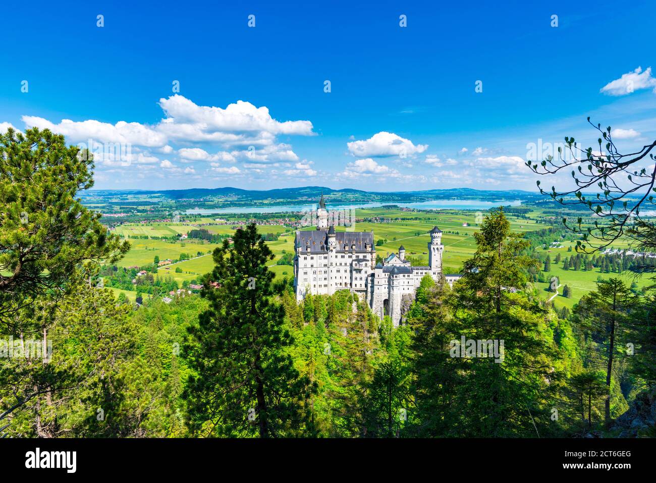 Schloss Neuschwanstein bei Hohenschwangau, Romantische Strasse, Ostallgäu, Bayern, Deutschland, Europa Stock Photo