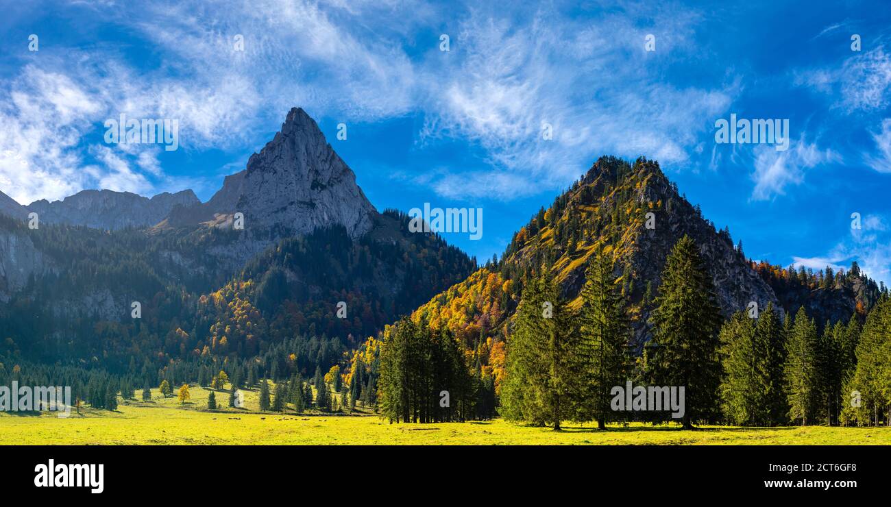 Almwiese beim Wankerfleck, dahinter der Geiselstein, 1882m, Ammergauer Alpen, Ostallgäu, Bayern, Deutschland, Europa Stock Photo