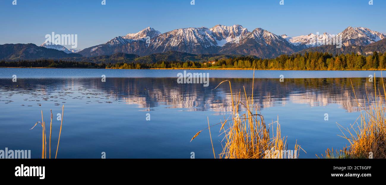 Sonnenaufgang, Hopfensee, bei Füssen, Ostallgäu, Allgäu, Oberschwaben, Schwaben, Bayern, Deutschland, Europa Stock Photo