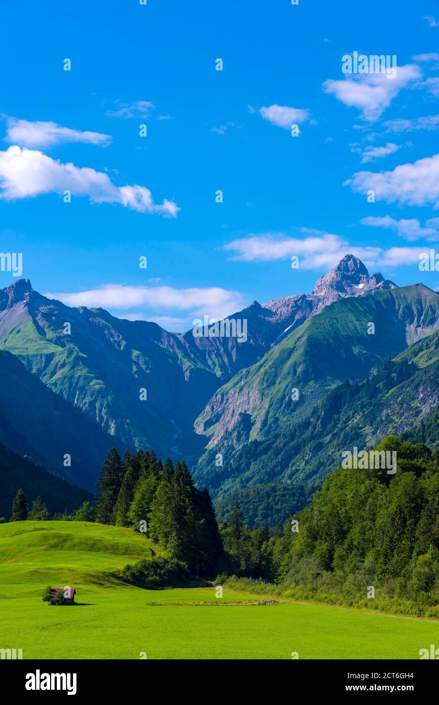 Trettachtal, bei Oberstdorf, dahinter die Trettachspitze, 2595m, Allgäuer Alpen, Allgäu, Bayern, Deutschland, Europa Stock Photo