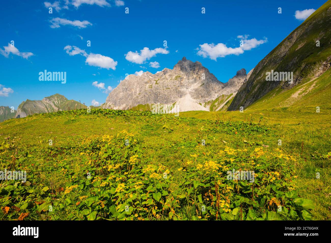 Grosser Wilder, 2379m, Hochvogel- und Rosszahngruppe, Allgäuer Alpen, Allgäu, Bayern, Deutschland, Europa Stock Photo