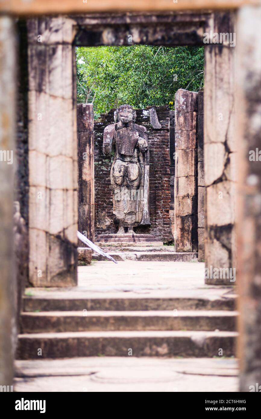 Tooth relic chamber hi-res stock photography and images - Alamy