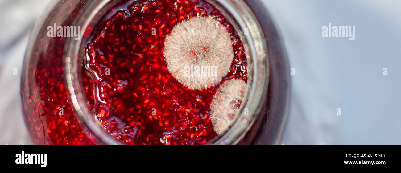 Mold in a jar of raspberry jam. Hazardous to health.  Stock Photo